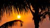 From Sanibel-Captiva to Marco, tourism industry sees hopeful signs