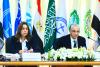 Egypt calls for institutional reform, impact-driven projects at CEDARE board meeting
