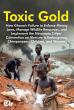Toxic Gold: Ghana’s Struggle to Uphold Mining Laws and the Minamata Conventi