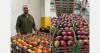 "Brazilian mango needs to strengthen planning to ensure stability in future seasons"