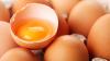 What Egg Debate Reveals About Food Safety in Kashmir