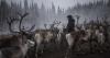 Sweden: New mining project will bring more industries into Indigenous Sami land