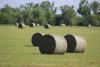 Arkansas Hay Verification Program seeking participants for 2026
