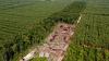 Pulp and paper giant APRIL adds major deforesters as suppliers after revising sustainability policy