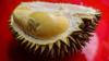 Fresh Laotian Durians Approved for Import Into China