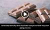 Scientists identify dark chocolate compound that may slow aging process