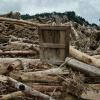 Indonesians reeling from flood devastation plea for global help