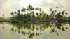 Kumbalangi: Experience mangroves, Chinese fishing nets and slow living inside India’s first eco-tourism village