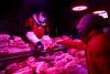 China announces anti-dumping duties on European pork for five years