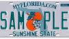 Is your license plate frame illegal? FLHSMV explains new Florida law