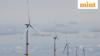 Rare earth pivot: Why Germany’s offshore wind sector is knocking on India’s door