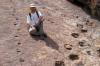 Science United Press International World’s largest dinosaur footprint site identified in Bolivia