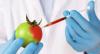 Again, coalition heightens call for ban on GMO foods
