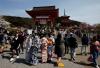 Japan visitor arrivals growth strong in November despite China travel warning