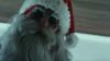 This Christmas Horror Movie Takes Place in Wisconsin