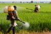 European Commission opens the door to greater pesticide use in agriculture