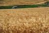 Global food prices fall for third straight month as FAO Index slides in November