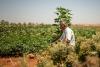 Seeds against bombs: Scenes from Syria’s agricultural resistance and revival