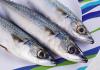 Iceland’s Mackerel Share Recognised For First Time 