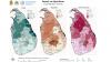 FAO maps show scale of damage to Sri Lanka’s agriculture from flooding