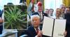 Eagle Forum, Alabama Medical Cannabis Association react to Trump reclassifying marijuana to schedule III substance