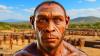 Scientists Reveal 1.5-Million-Year-Old Human Face, Unveiling New Clues to Our Ancient Ancestry