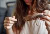 Wyoming Hair Woes: The Top Hair Concerns Among Residents