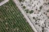 The pistachio boom in Argentina clashes with the water crisis