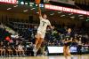 Harrison’s career-high 31 points fuel UAA women in Hawaii; Novelli nets 15 in UAF debut