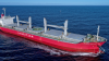 Greece's Dalex Shipping adds Japanese Handysize in partnership with NPR