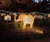 Joburg Zoo’s Festival of Lights brings a glowing night out for the whole family