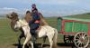 I’ve travelled to 110 countries. But my experience in Mongolia made me rethink every trip I’ve taken