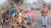 MP News: Foreign Tourists Ride Bullock Cart To Explore Bundelkhandi Culture In Khajuraho; Video Viral