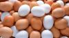 Cancer risk in eggs claims unfounded: Food regulator rejects health hazard claims