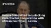 Russia Committed to Unlocking Potential for Cooperation With African Countries - Lavrov