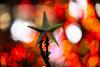Music & the Spoken Word: The Christmas star