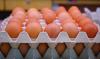 Middlemen accused of manipulating egg prices as consumers face steep hikes