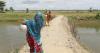 Water crisis threatens food security in Barind region