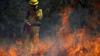 Florida Forest Service warns about wildfires in ‘driest winter' in recent memory