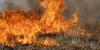 Texas A&M Forest Service warns of wildfire risk in dry conditions