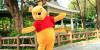China Bans Winnie the Pooh? Country Now Forbids the Yellow Bear