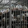 El Salvador's CECOT prison is a notorious maximum security facility also used by the Trump administration for undocmented migrants deported from the United States