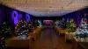 Falkland Islands 2025 Christmas Tree Festival Held In Stanley