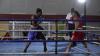Tough Weekend for Barbados at Caribbean Champions Boxing Event