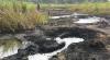Oil spill: FG vows to enforce environmental laws in Ogoniland