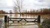 Ministers shirk MPs’ calls for national flood resilience standards