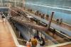 Ancient Egyptian pharaoh's boat reassembled in real time at Grand Egyptian Museum