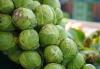Brussels sprouts are top of the crops for Lincolnshire growers One of the biggest names in local agriculture has been working around the clock to bring a bastion of Christmas dinner to plates across the country.