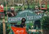 Third-generation Christmas trees business marks 45th consecutive season