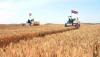 North Korea’s food output rises as wheat production jumps, South Korean agency says
